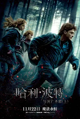 哈利·波特与死亡圣器(上) Harry Potter and the Deathly Hallows: Part 1 (2010)