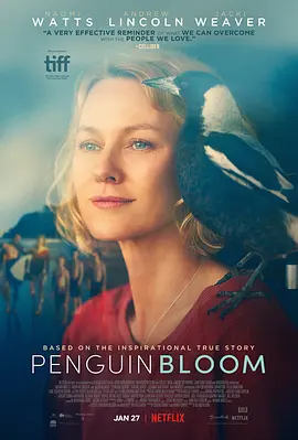 企鹅布鲁姆 Penguin Bloom (2020)